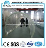 Transparent Acrylic Sheet/ Cylindrical Sheet/ Arch Sheet