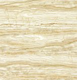 Foshan Micro-Crystal Design Porcelain Floor Tile Hdm45