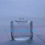 Different Shape Perfume Glass Bottle 100ml