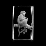Crystal Cube with 3D Laser Engraving