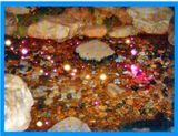 Plastic Optical Fiber and Cable for Decoration