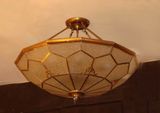 Copper Ceiling Lamp with Glass Decorative 19007 Ceiling Lighting