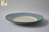 Four Color 8' Stoneware Ceramic Plate