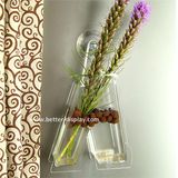 Clear Acrylic Hanging Glass Vase (BTR-Q8008)