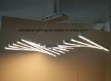 Modern Hotel LED Pendant Lamp (WHP-5401Z)