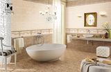 Bathroom Tiles with Decoration