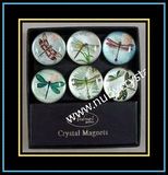 Dome Crystal Magnet Packing Window Gift Box