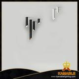 Modern Aluminun Iron LED Ceiling Lamp (MB-3014/2)