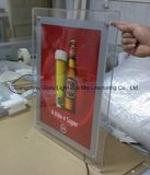 Indoor Acrylic Sheet for Real Estate