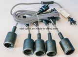 25FT G40 String Lights +2 Spare Bulbs 30 Edison Style Globe Bulbs W/ Black 25 Foot UL Outdoor Light String