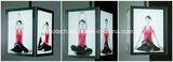 Ceiling Hanging Acrylic Photo Frame Slim LED Light Box with Magnetic Open