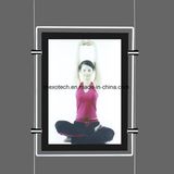Cable Suspended LED Light Box with Magnetic Face