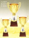 Sports Trophy