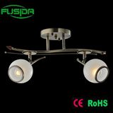 Indoor Industry Lighting Chandelier Lighting/Pendant Lighting