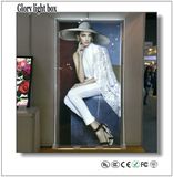 LED Crystal Picture Panel (SJ036)