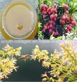 Top Honey, Organic, Pure Litchi Honey, No Antibiotics, No Pesticides, No Pathogenic Bacteria, Prolong Life, Health Food