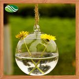 Unique Hanging Crystal Glass Flower Vases