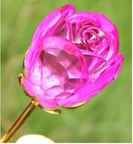 Glass Rose Flower as Wedding Return Gift
