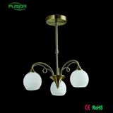 Energy Saving Pendant Chandelier Lighting for Home Project