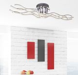 Fashion Design Decorative LED Ceiling Lamp (MX15005-10A)