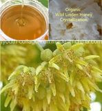 Honey, Top Linden Honey King, Anticancer, No Pollution, No Heavy Metal, No Antibiotics, Organic Food, Nourish Internal Organs, Long-Term Use, Prolong Life