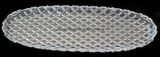 Machine-Made Oval Crystal Glass Fruit Plate (P-HG08)