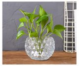 European Glass Hydroponic Flower Vase