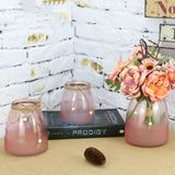 Countryside Glass Vase with Rope