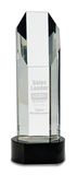 Hexagon Crystal Trophy-Black Base