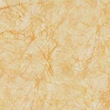 3D Hot Sales Inkjet Marble Floor Tiles (FQA1030P)