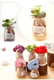 Countryside Homedecoration Glass Vase