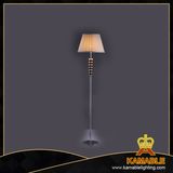 Modern Chrome Bedroom Floor Lamps (BL6023)