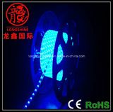 LED Rainbow Light for Decoration