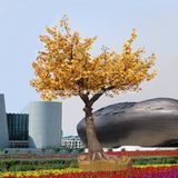 LED Artificial Maple Tree Light