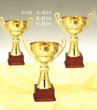 Sports Trophy