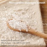 Good Quality Mono Sodium Glutamate Msg in Bulk Hot Sale
