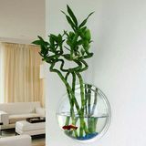 Home decoration Acrylic Wall Mounted Fish Bowl