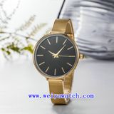 Stainless Steel Promotion Watch Vogue Ladies Watch (WY-17037B)