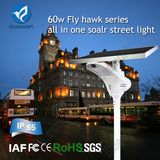 LED 60W Solar Street Light Garden Lamp with Motion Sensor