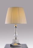 Modern Chrome Decorative Table Lamps Lighting (BT6059)