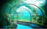 Acrylic Sheet Acrylic Plate for Acquarium/Fish Tank