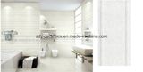 Building Material Luxury Popular Ceramic Wall Tiles