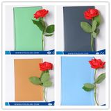 Ford Blue Colored Float Glass/Tinted Glass/Stained Building Glass