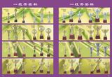 Sports Trophy