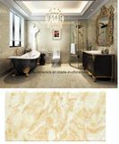 Interior Stone Ceramic Tiles Building Material