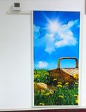 Electric Carbon Crystal Radiator