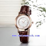 Business Watch ODM Luxury Woman Watch (WY-036B)