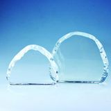 Glass Crystal Iceberg Trophy Award