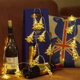 Lights Ideal for Wedding, Christmas, Party, Homes, Garden, Bedroom Decorations Chain Indoor Lighting