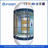 FUJI Zy Observation Passenger Elevator with Ce Certificate